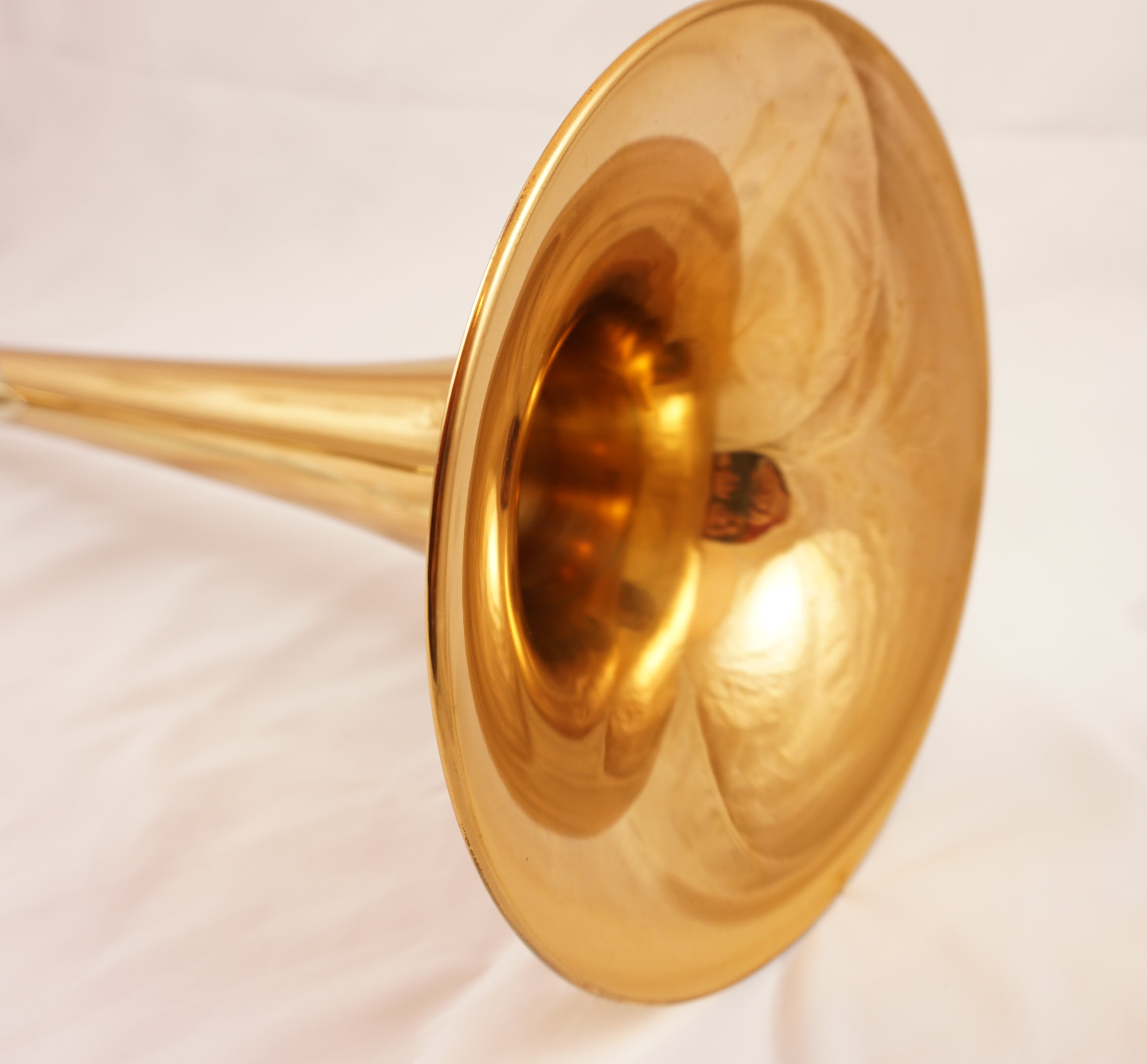 Elkhart Conn 8H, 04.12.2020, Tico (8)